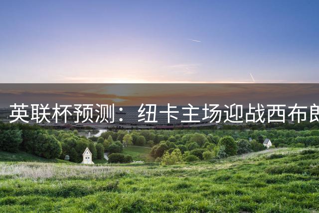 英联杯预测：纽卡主场迎战西布朗，实力占优或轻取对手