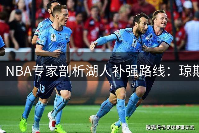 NBA专家剖析湖人补强路线：琼斯贝成理想锋线 加福德薪资成障碍
